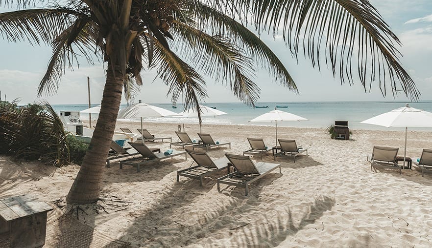 beach with sunbeds and palm trees in Tulum