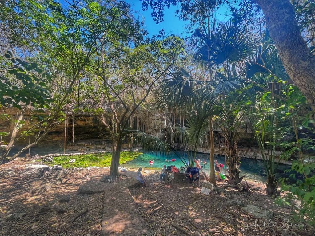 Cenote Xbatun overview