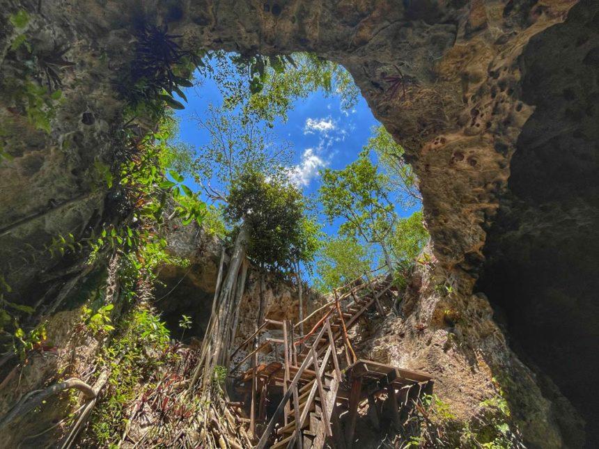 3 oches cenote from below