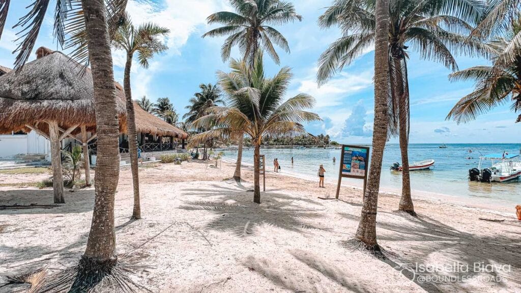 A tropical beach scene with palm trees, huts, and a person by the shore. Boats float on the bright blue water under a clear sky.