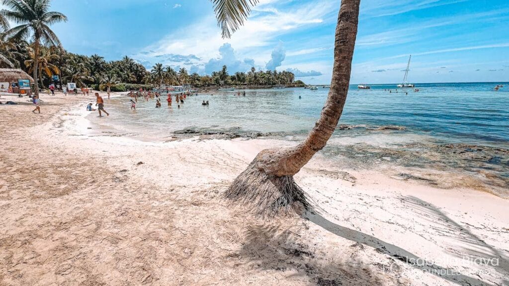 Tropical beach scene with a leaning palm tree, people enjoying the shallow, clear water, and distant sailboat under a bright blue sky.