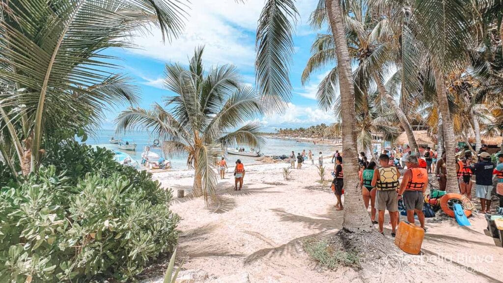 A tropical beach with palm trees, people wearing life vests near the shore. Boats are on the water under a bright sky.