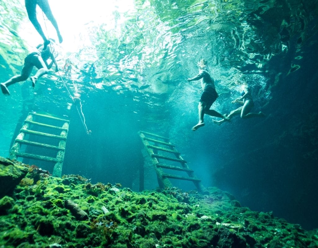 two swimmers in a cenote - best cenote tours tulum 