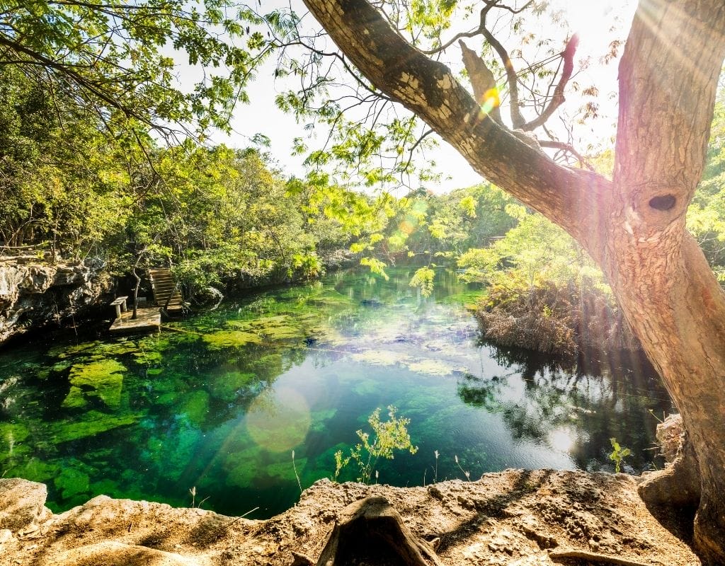Cenote mexico 