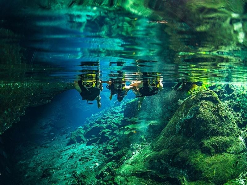 People snorkeling in a cenote 