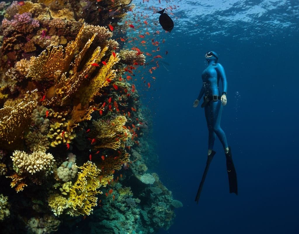 Cenote free diving
