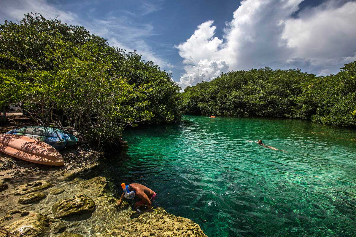 green lake surrounded by mangroves and people swimming