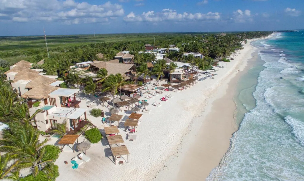 beach at la zebra tulum - aerial view