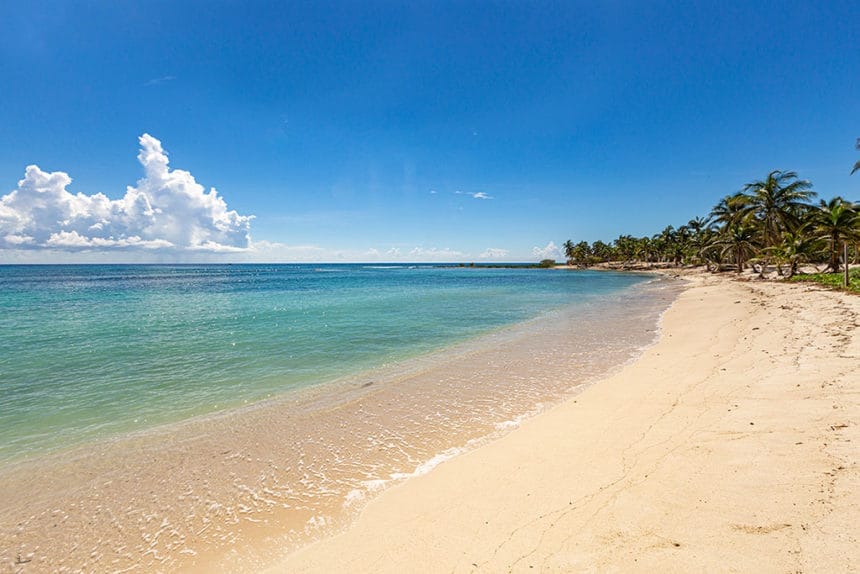 Deserted beach on the Riviera Maya with palm trees as a backdrop