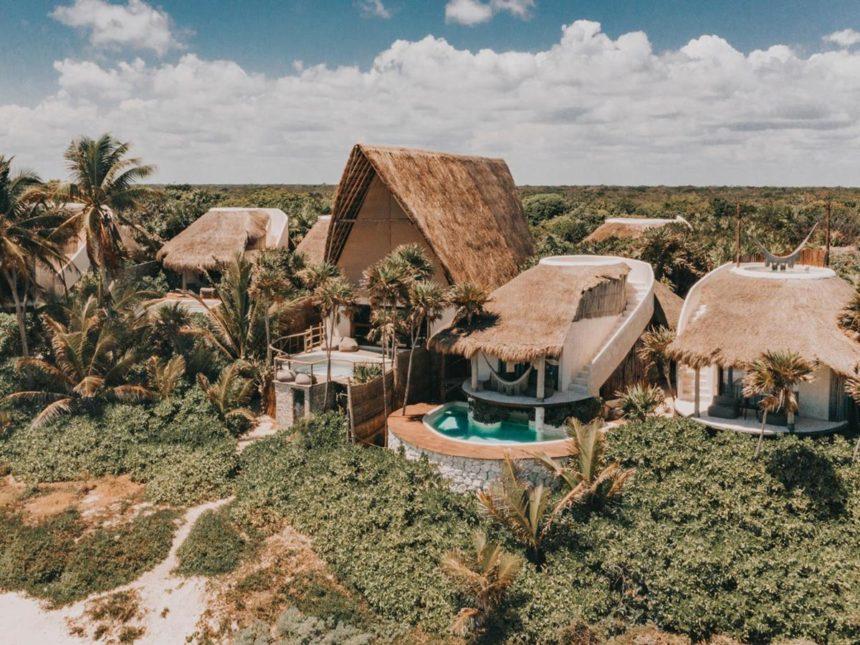 Papaya Playa Project view of the jungle