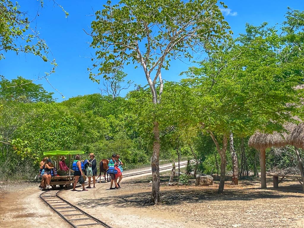 Santa Barbara Cascabel Cenote cart 