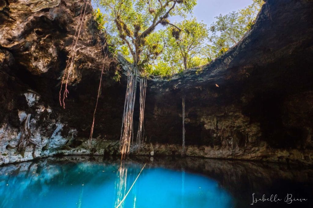 Santa Barbara Xooch cenote