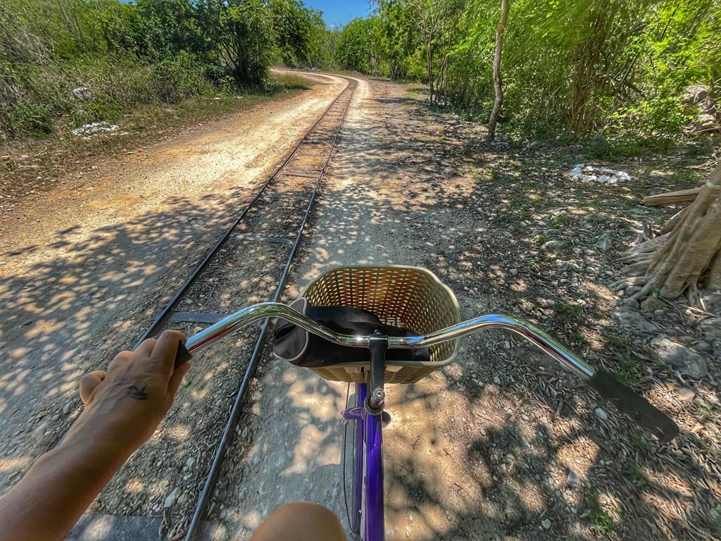 me on a bike on a trail