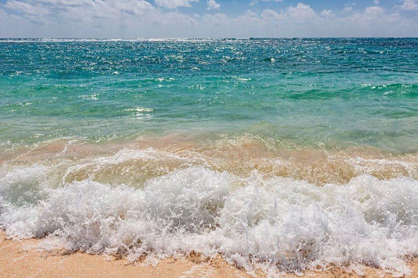 Xcacel waves