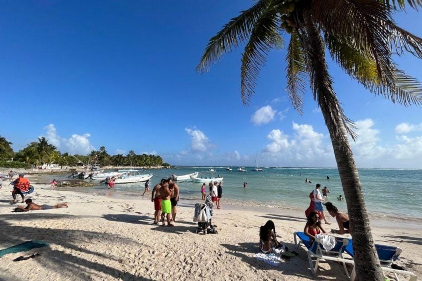 Akumal beach with people and a palm