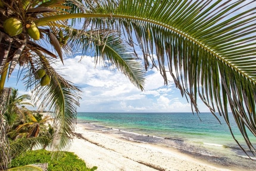 view of the beach from an hotel