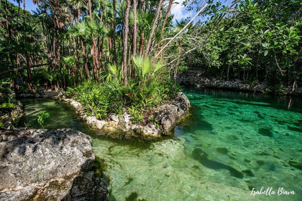 A lush tropical scene with clear turquoise water, rocks, and dense foliage under a bright sky, capturing serene natural beauty.