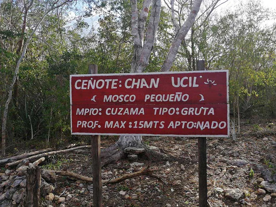 Chan