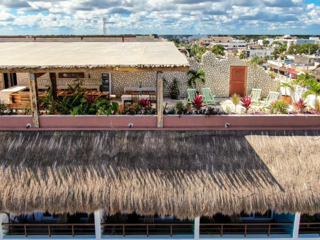 la Palmita roof top terrace 