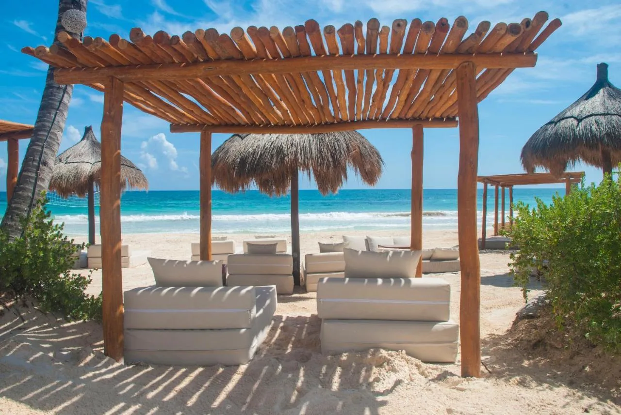 la zebra beach chairs