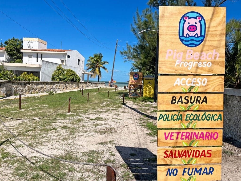 Pig Beach