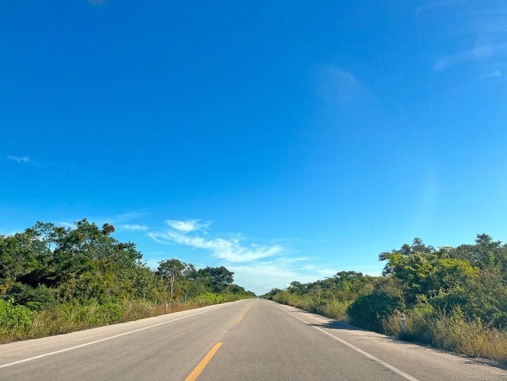 Road between Celestun and Sisal