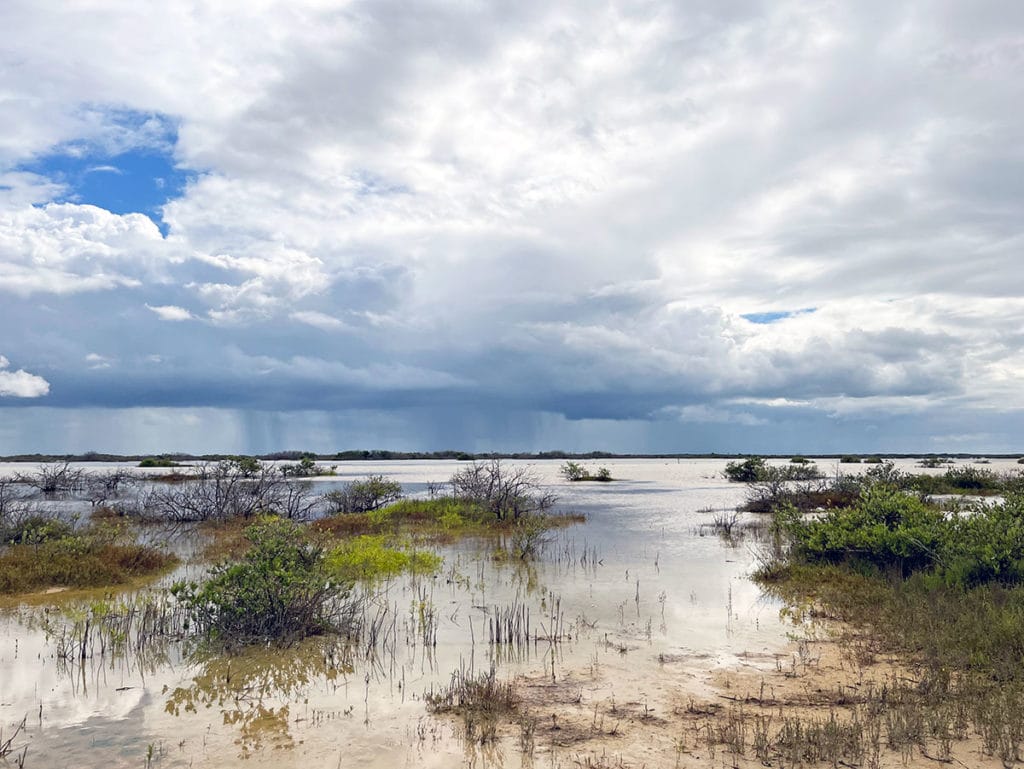 Lagoon behind San Roman Convenience Store