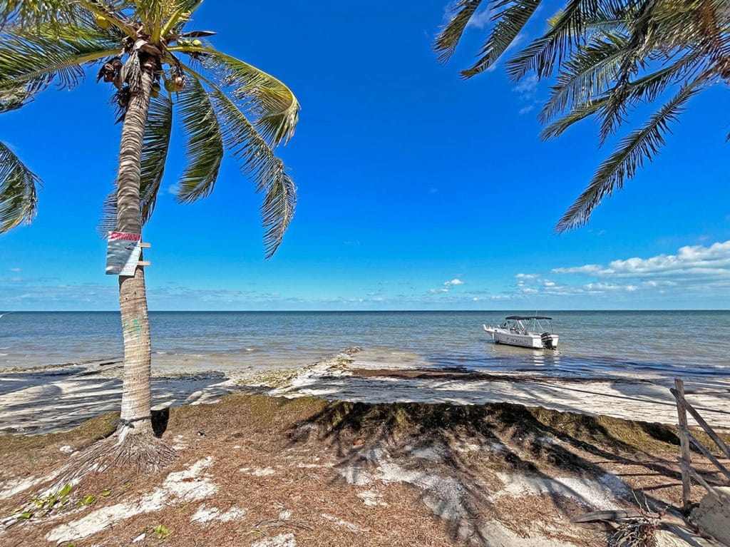 San Crisanto Beach