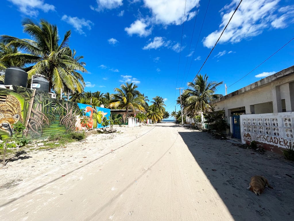 San Crisando road