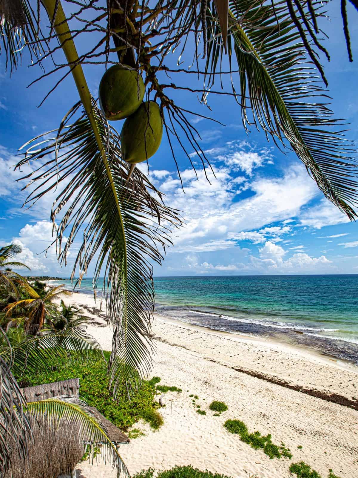 tulum beach