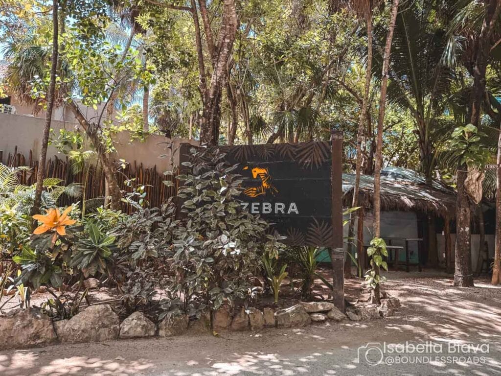 A lush garden setting with tropical plants, a sign labeled "Zebra," and a rustic structure surrounded by trees and greenery.