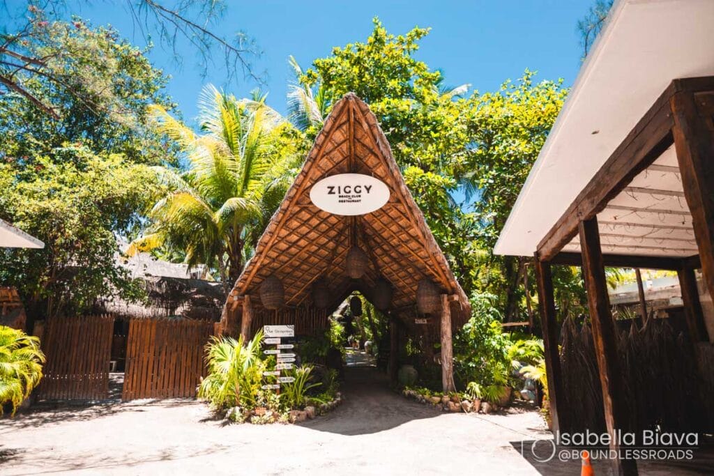 Thatch-roof entrance marked "ZIGGY," surrounded by lush greenery and palm trees under a clear blue sky, creating a tropical ambiance.