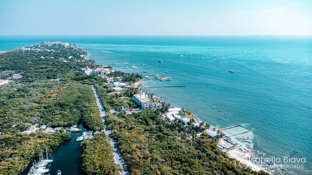 Aerial view of lush greenery and coastline in Florida Keys, with boats and docks along the blue waters under a clear sky.