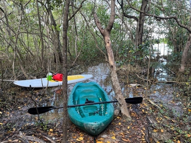 Sisal Kayak