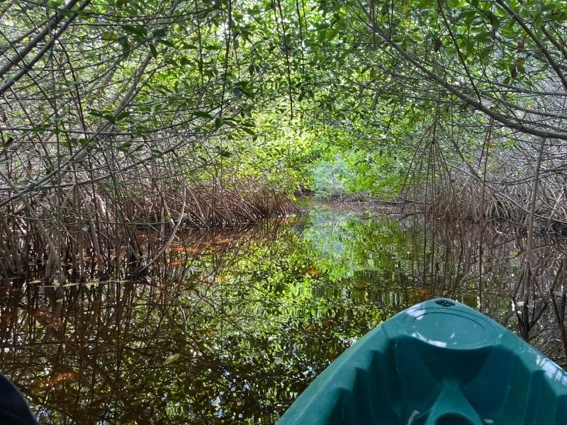 Sisal Lagoon Kayak