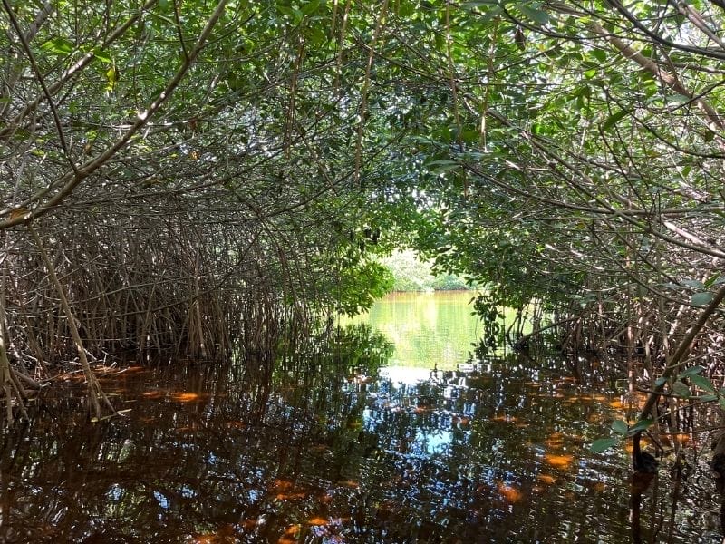Sisal tunnel