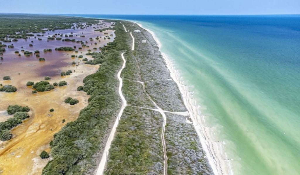 Things to do in Sisal - Beach
