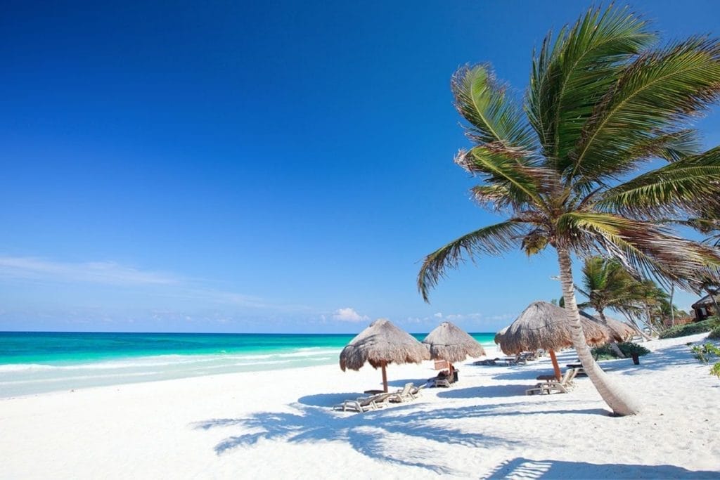 Tulum Beach Palms