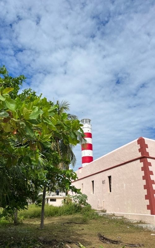 Faro Sisal