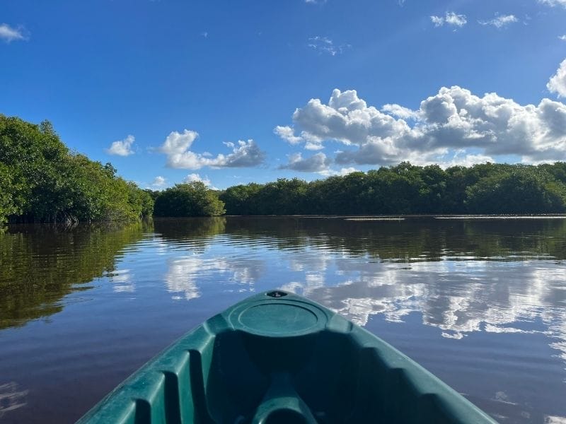 Sisal Kayak tour