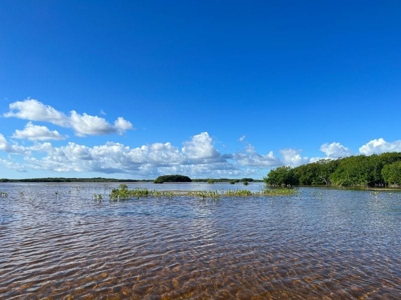 Sisal Kayak Tour