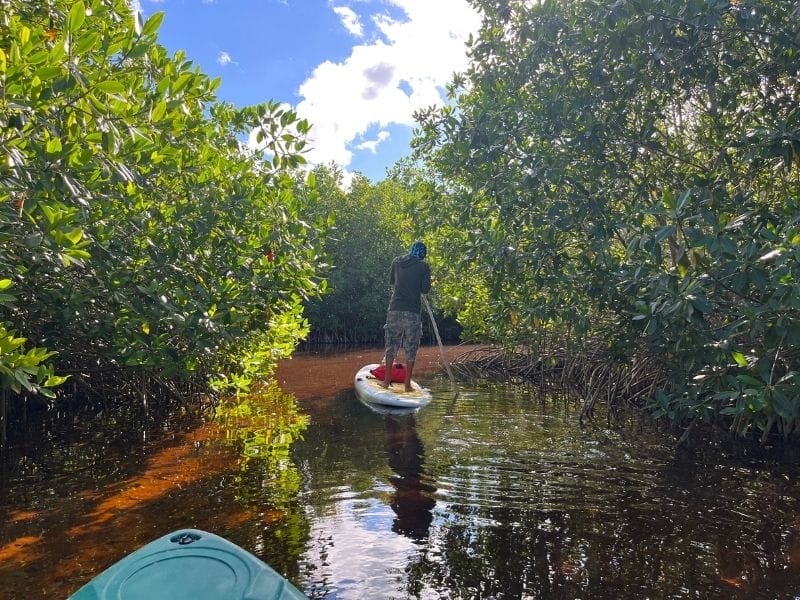 Sisal paddle board tour