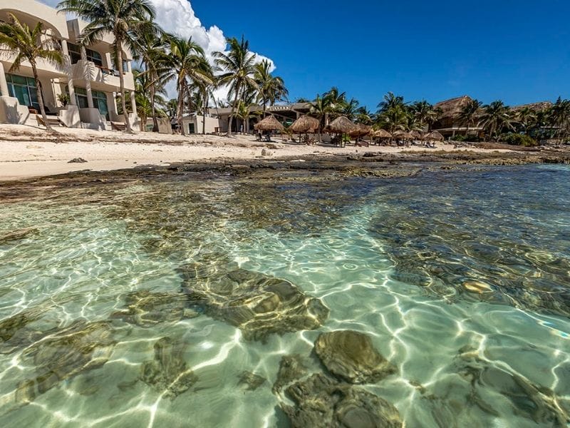Clear turquoise water and sandy beach with palm trees and thatched-roof huts, adjacent to a shoreline building under a vibrant blue sky.