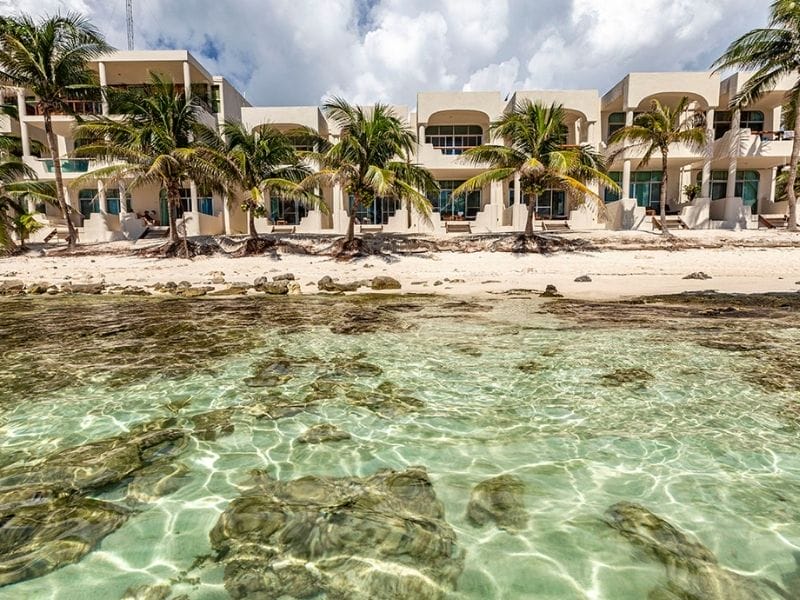 Beachfront building with palm trees, clear turquoise water, and a sandy shore. Modern architecture, clear skies, and calming atmosphere create a tropical paradise.