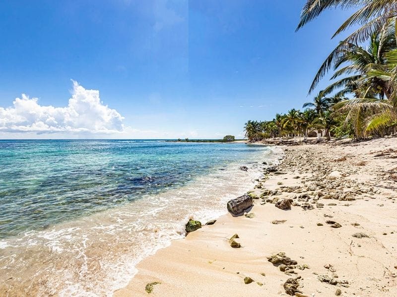 A tropical beach with clear blue water, palm trees, and scattered rocks under a bright sky. No landmarks, people, or buildings are visible.