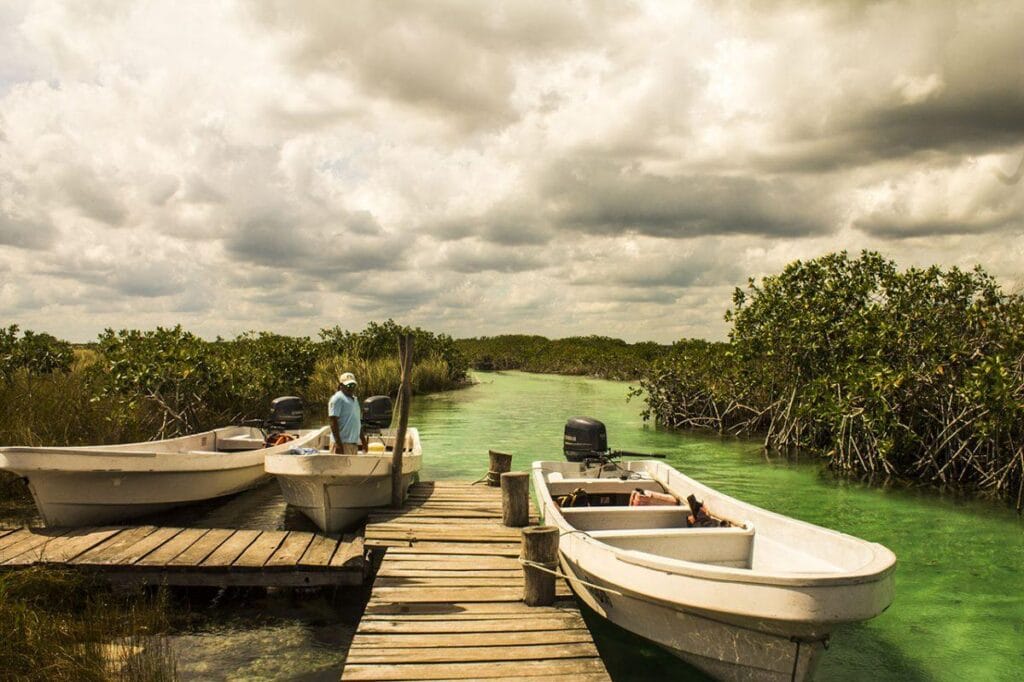 A person stands on a wooden dock with boats by a green waterway surrounded by lush mangrove vegetation, under a cloudy sky.