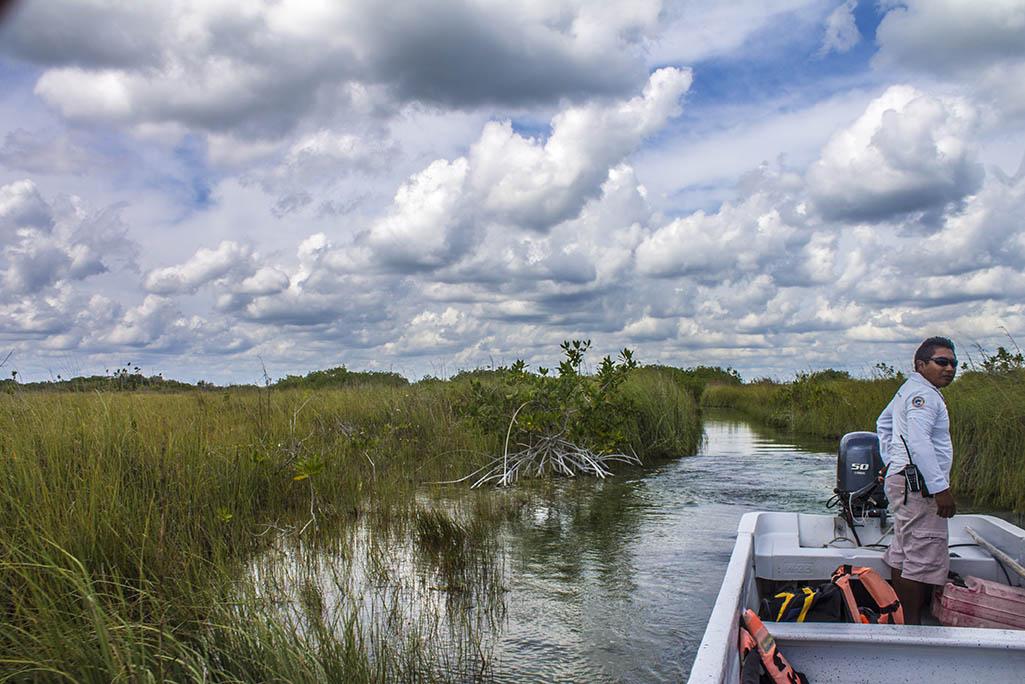 A person stands on a boat navigating through marshlands under a cloudy sky, surrounded by tall grass and calm water.