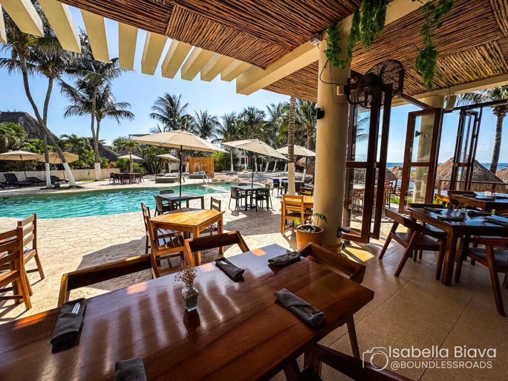 Tropical restaurant overlooking a sunlit pool, featuring wooden tables, palm trees, and sun loungers, creating a relaxed, inviting atmosphere.