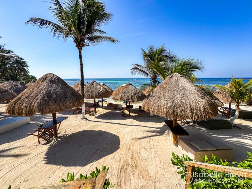 Beach scene with thatched umbrellas, lounge chairs, and palm trees under a clear blue sky. Ocean waves in the background suggest a tropical setting.