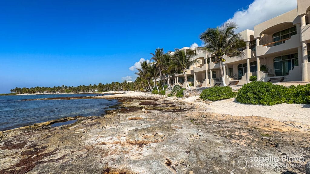 Coastal view featuring rocky shore, clear blue sky, and a modern building with palm trees lining the landscape, adjacent to the ocean.